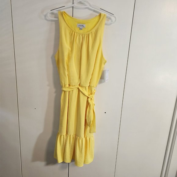 Tahari Arthur S. Levine Yellow Tank Sundress with Bottom Ruffle NWT | Size 10 - Picture 4 of 12